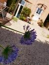 Apartamento Charmant Studio Sur Cour � Saint-rambert Lyon 9e