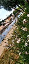 Apartamento Charmant Studio Sur Cour � Saint-rambert Lyon 9e