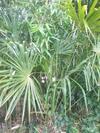 L?escale C�t� Jardin