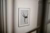 Palit 497/d, Apartment F