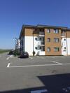 Apartamento Garsonier? Sorin