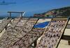 Apartamento Altido Nazare 3-br Flat With Terrace And Rooftop Pool