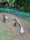 Bed & Breakfast Carcazen