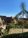 Atelier De Pfalz-loftstyl Mit Pfalzblick