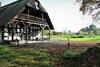 Ruhe Unter Reet - Haus Mit Sauna & Kamin Im Gr�nen