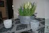 Apartamento Sonniges Appartement Am Tegernsee