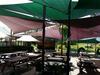 The Bearded Dragon Boutique Hotel
