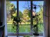 Apartamento Vogelnest-ruhe Und Natur In Ostseen�he