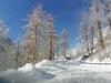 Hotel Gasthof Sch�pf