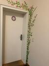 Apartamento Cafe 28 & Pension Am Markt