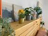 Apartamento El Jard�n De Lucas