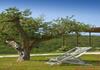 Villa Guardistallo By Mc Luxury Rentals