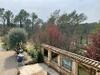 Bed & Breakfast La Salamandre En Provence