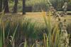 Bed & Breakfast Zielone Okiennice