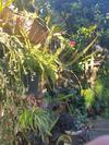 Apartamento Couleurs Des �les