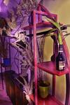 Vacation Rental Home Apartment