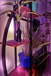 Vacation Rental Home Apartment