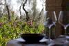 Agroturismo Il Bottaccio Casa Di Campagna