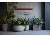 Hotel The Knot Hiroshima - Vacation Stay 48542v