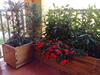 Apartamento 'la Quercia' Top Floor Flat