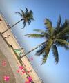 Apartamento Praia Grande, Avia��o - Guilhermina