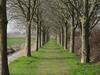 Detached Chalet With Beautiful Terrace, Near Alkmaar