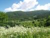 5 Bedrooms, Large Apartment On Farm, Nice View And Nature