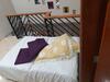 Casa S�o Sebasti�o Inteira
