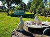Holiday Home F�rjestaden VII