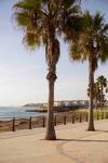 Apartament Pablo Playa Flamenca - Costa Blanca
