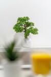 Jkg Property Solutions Presents Cosy City Apartment