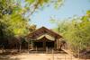 Beneath The Baobabs