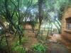 Bosveld Bruilof & Bushaway Lodge