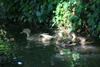 Bed & Breakfast Ch�teau Le Briou D'autry