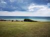 The Abi Joseph @combe Haven