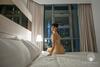 Apartamento The Robertson Kuala Lumpur By White Forest Suites