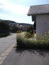 Apartamento Fewo 2 Am Fischerweg