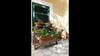 Comfy 1-bedroom Apartment Sonia