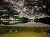 Apartamento Vista Alam Homestay Universe