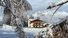 Apartamento Appartement Schwab Ski In & Out