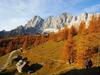Apartamento Appartement Anton