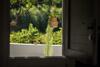 Apartamento The House Of Cyclades