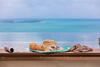Emerald Villa 3 Br Sea Views