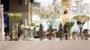Hotel The Sanctuary Phratamnak Pattaya