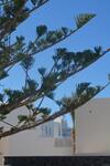 Apartamento Anezinas Place