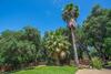 Apartamento Nicoles Houses Arillas Corfu