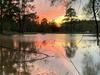 Our Happy Place - 2 Bedroom Cabin Near Lake Conroe