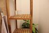 Apartamento Zimmer In Gr�ner Oase Nahe Aasee