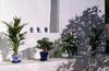 Hostal Pilar Alto Guest House