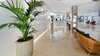 Hotel Bull Dorado Beach & Spa